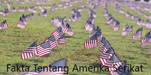 Fakta Amerka Serikat