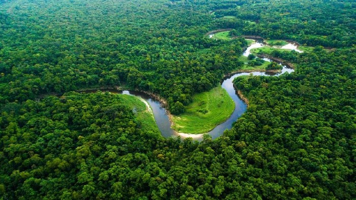 Sungai Terpanjang di Benua Amerika, Ada yang Panjangnya 6.800 Kilometer